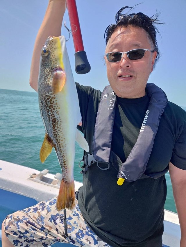 ショウサイフグ