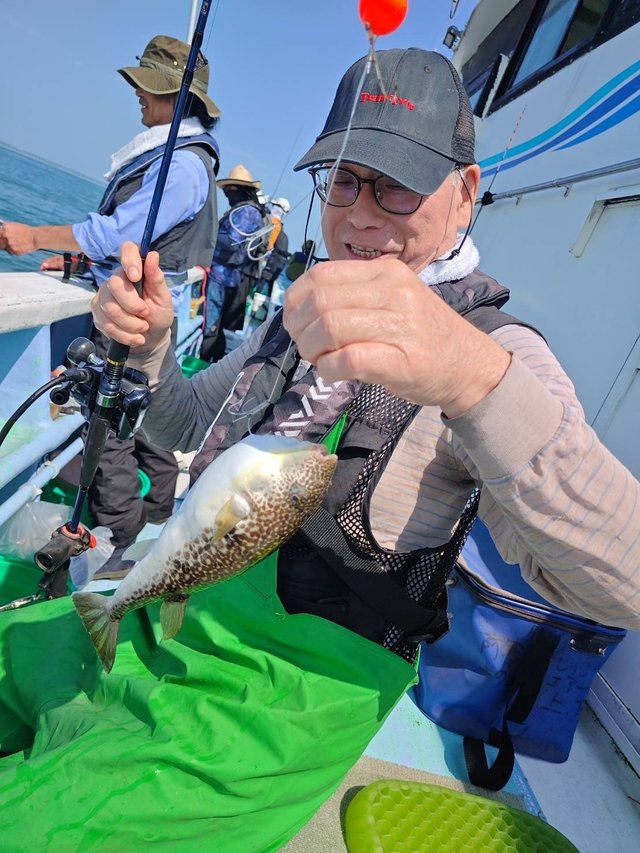 ショウサイフグ