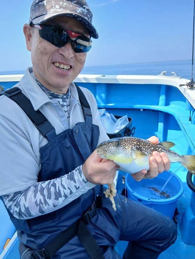 フグ(ショウサイフグ)