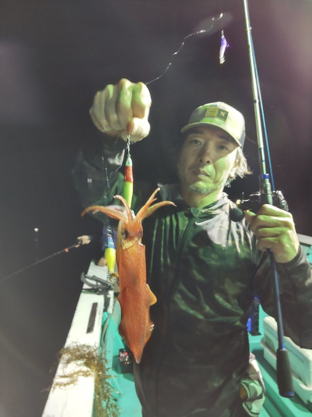 シロイカ(ケンサキイカ)