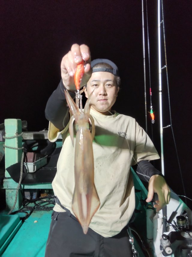 シロイカ(ケンサキイカ)