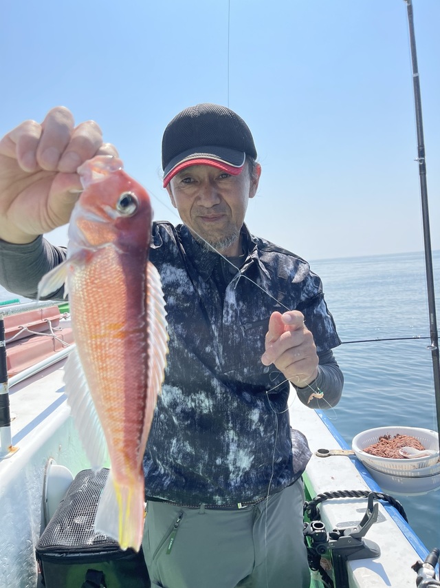 アマダイ(アカアマダイ)