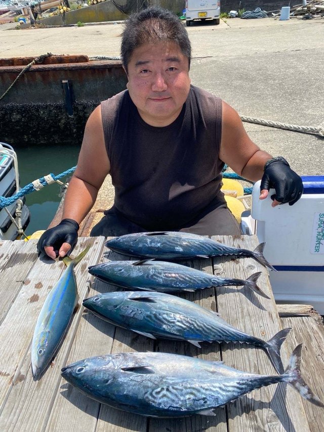 スマガツオ(スマ)