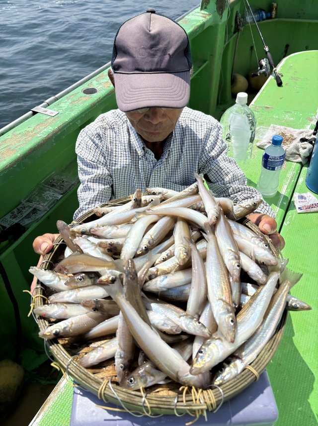 キス(シロギス)