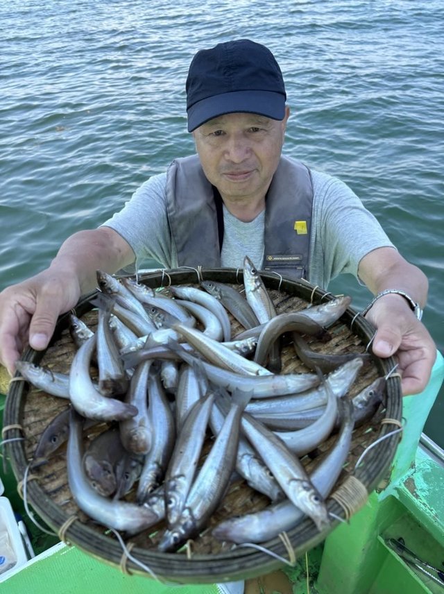 キス(シロギス)