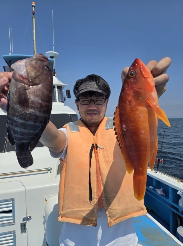 マハタ・アカハタ