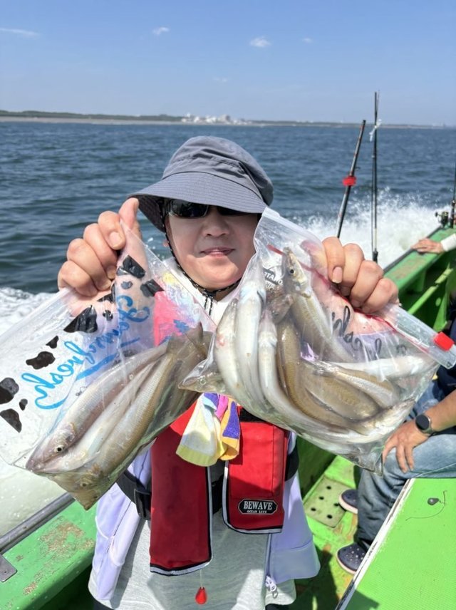 キス(シロギス)