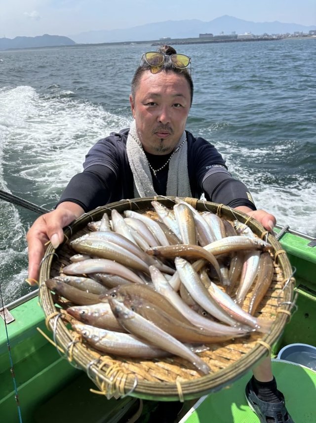 キス(シロギス)