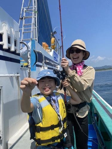 イワシ(カタクチイワシ)