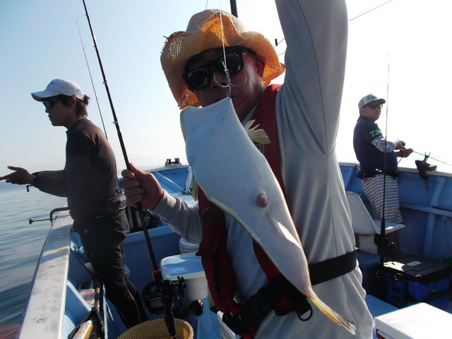 ショウサイフグ