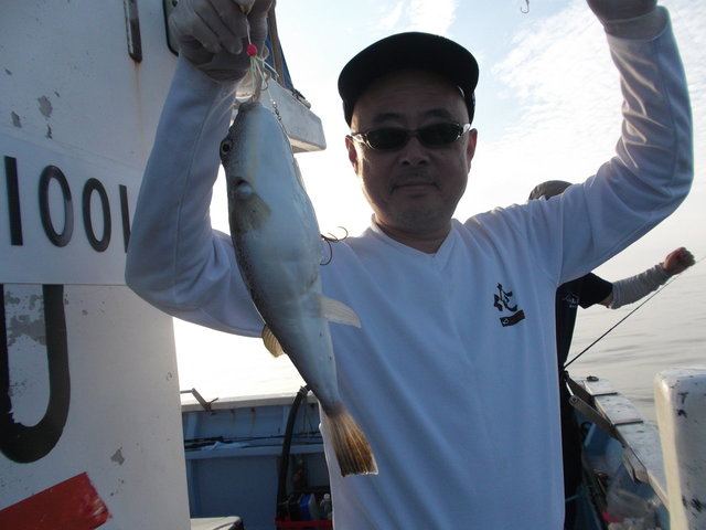 ショウサイフグ