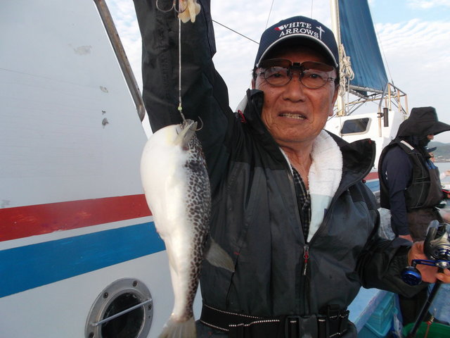 ショウサイフグ