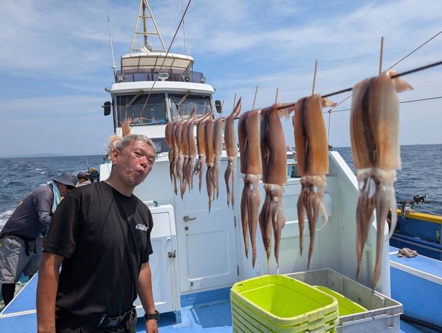 スルメ(スルメイカ)