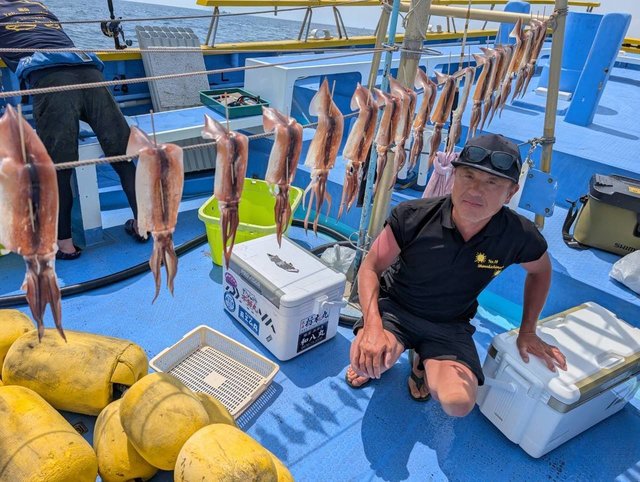 スルメ(スルメイカ)