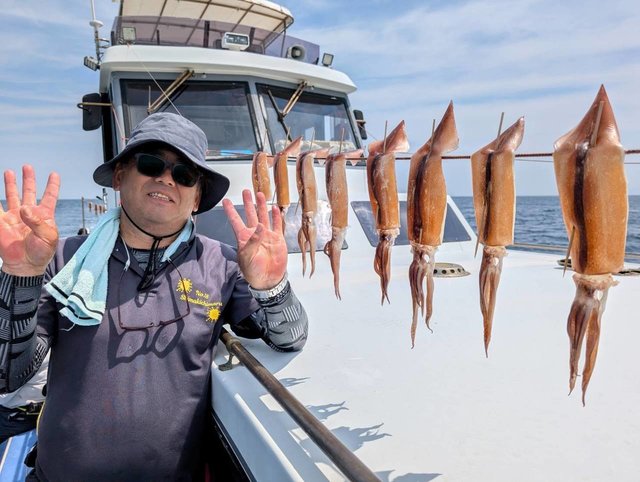 スルメ(スルメイカ)