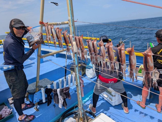 スルメ(スルメイカ)