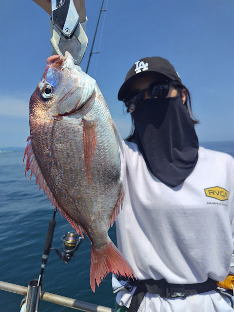 ハナダイ(チダイ)