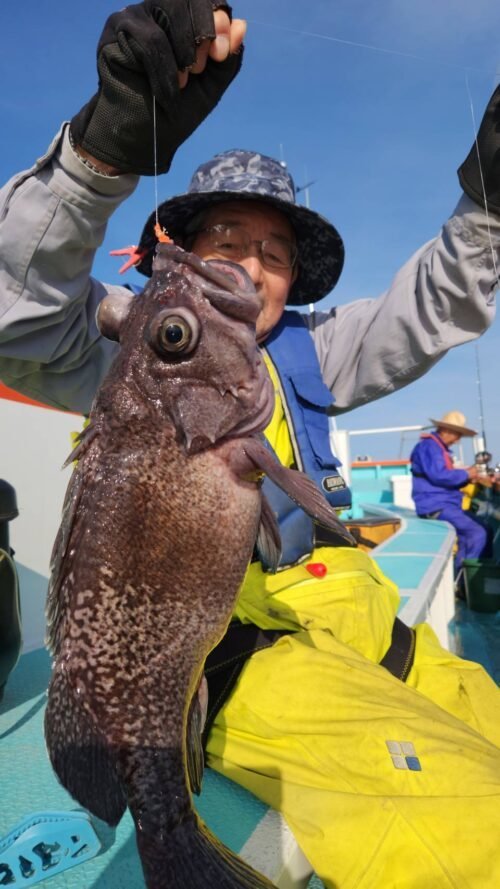 マゾイ(キツネメバル)