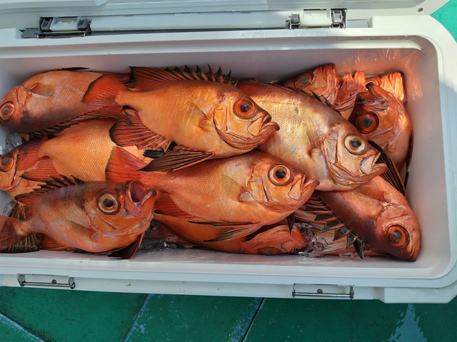 チカメキントキ