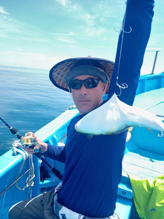 ショウサイフク(ショウサイフグ)