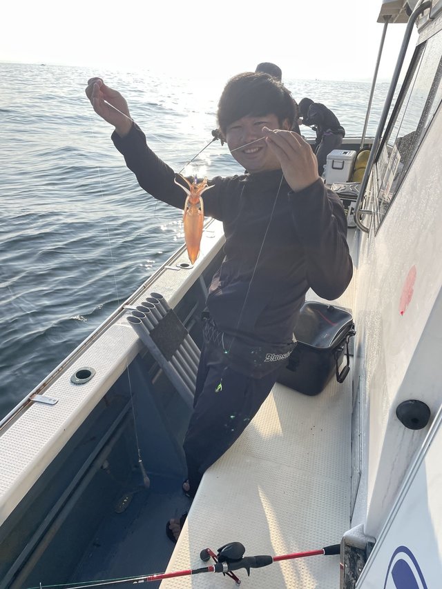 マルイカ(ケンサキイカ)