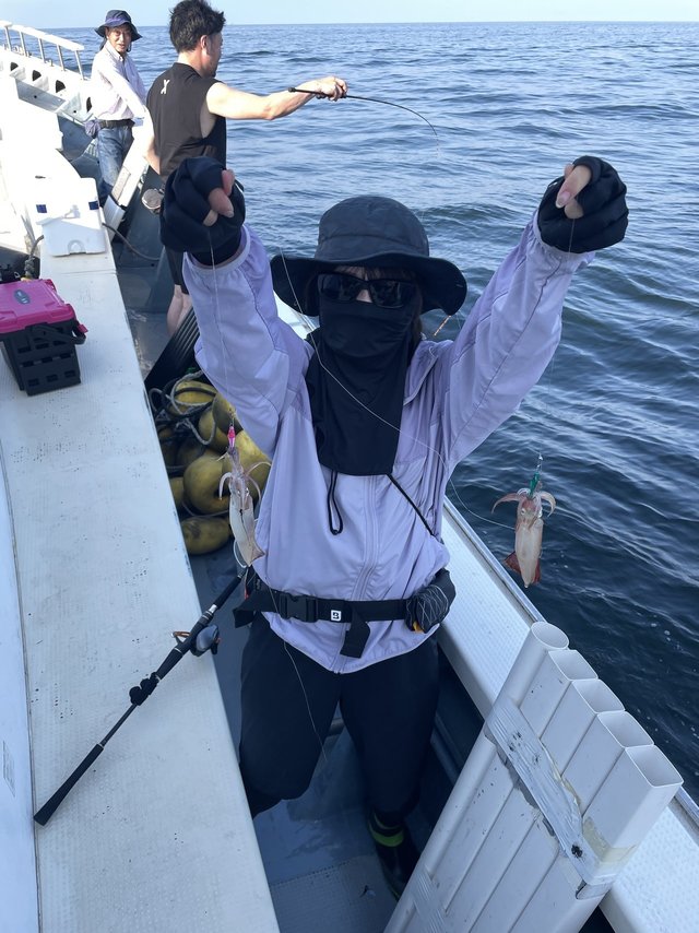 マルイカ(ケンサキイカ)