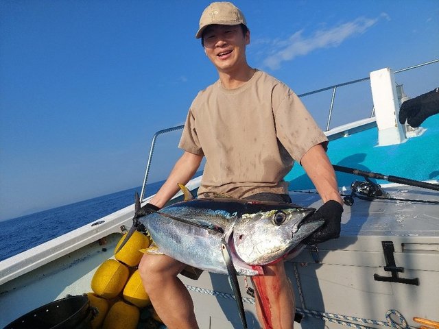 キメジ(キハダ)