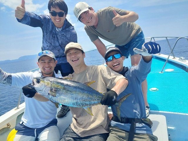 キメジ(キハダ)