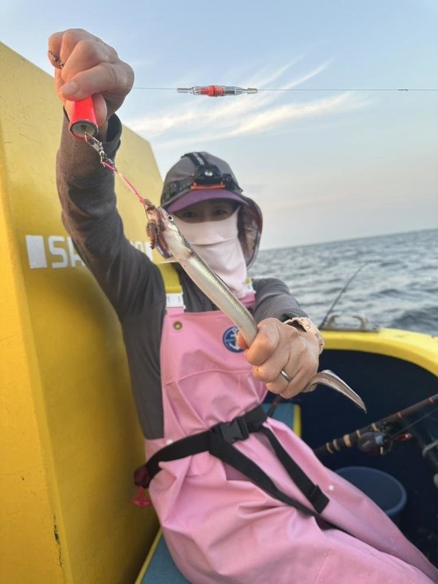 アナゴ(マアナゴ)