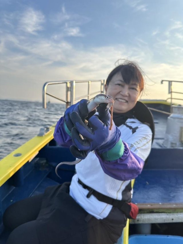 アナゴ(マアナゴ)