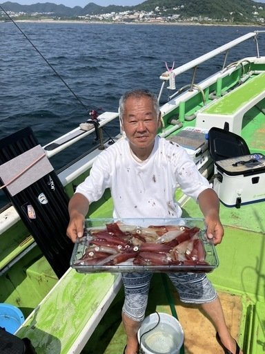 マルイカ(ケンサキイカ)