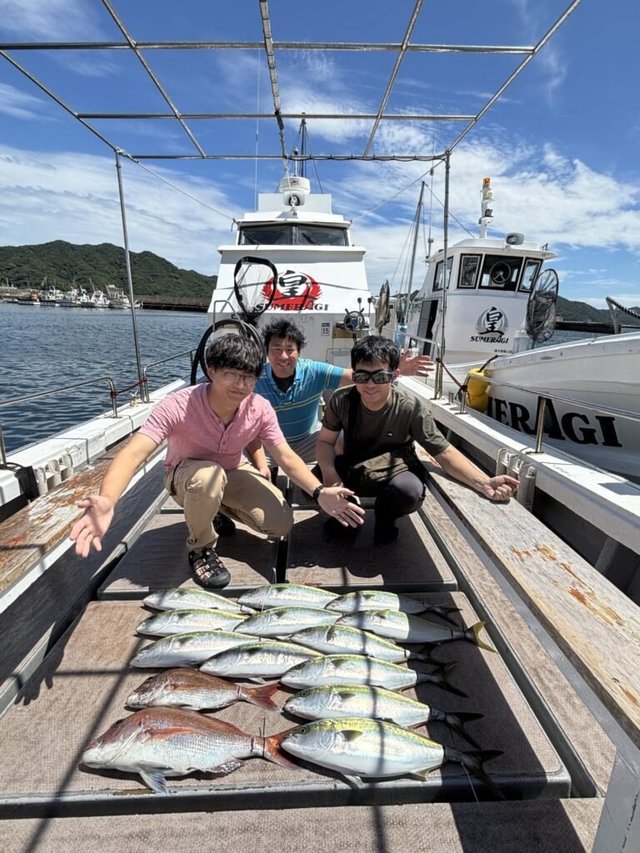 マダイ・ハマチ(ブリ)