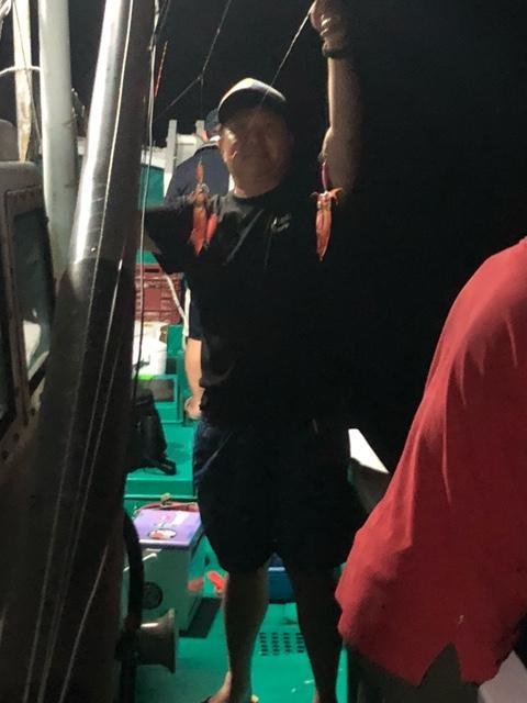 アカイカ(ケンサキイカ)