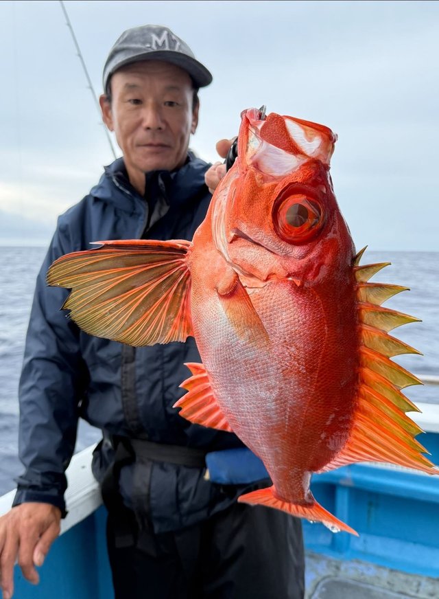 チカメキントキ