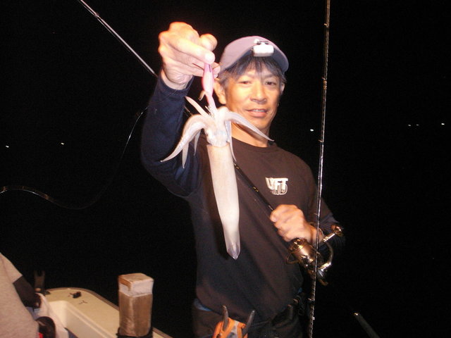 シロイカ(ケンサキイカ)