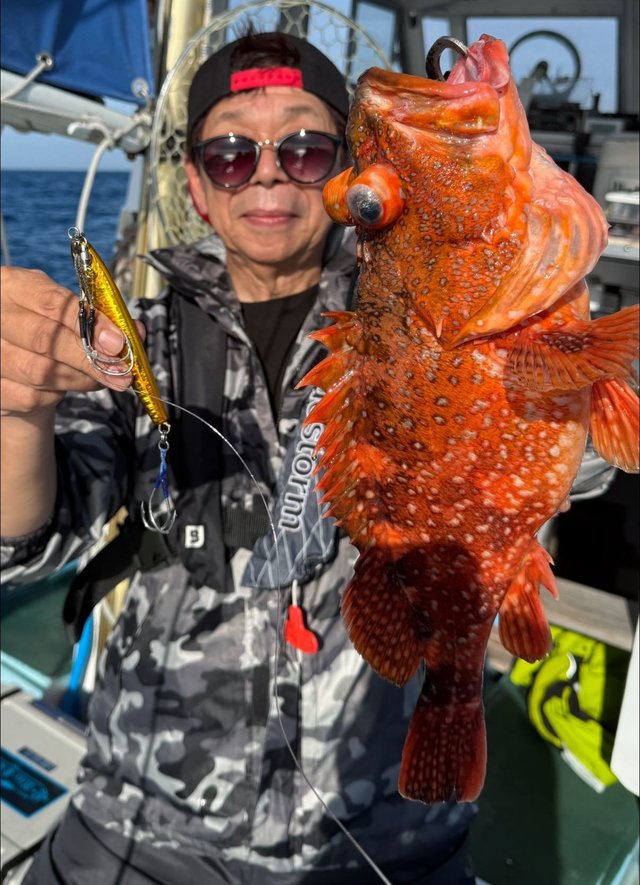 ウッカリカサゴ