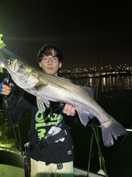 シーバス(スズキ)