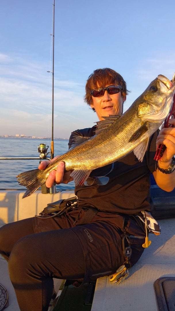 シーバス(スズキ)