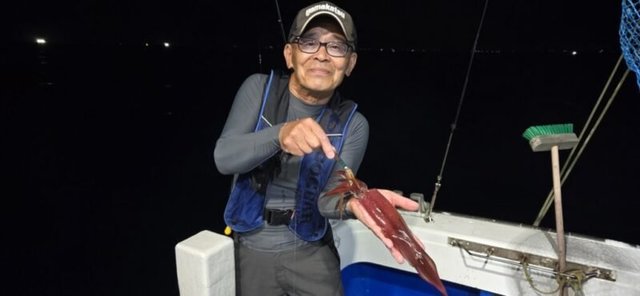 アカイカ(ケンサキイカ)