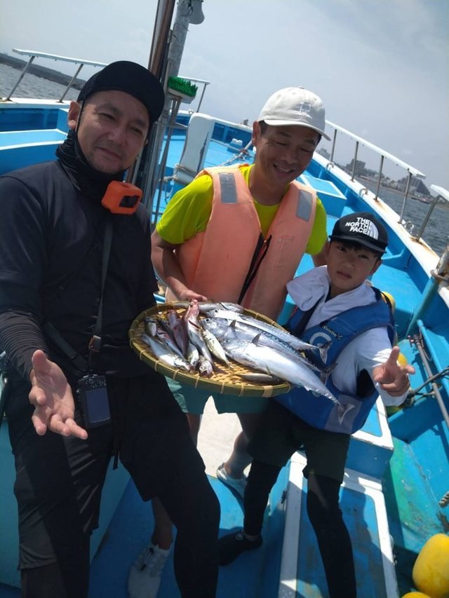 アジ(マアジ)・タカベ・ソウダガツオ(ヒラソウダ)・サバ(ゴマサバ)・イワシ(カタクチイワシ)