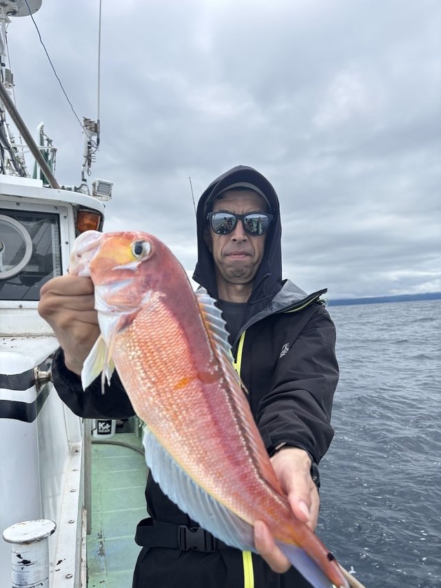 アマダイ(アカアマダイ)