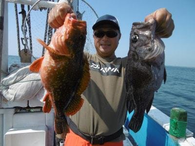 ソイ(クロソイ)・カサゴ