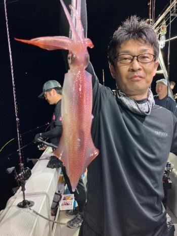 マイカ(ケンサキイカ)