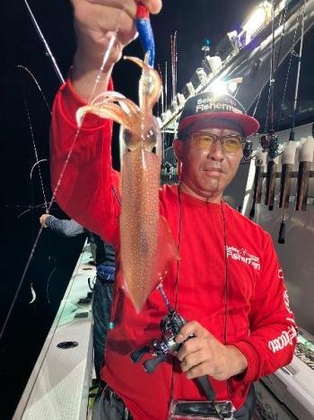 マイカ(ケンサキイカ)