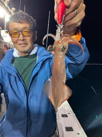 マイカ(ケンサキイカ)