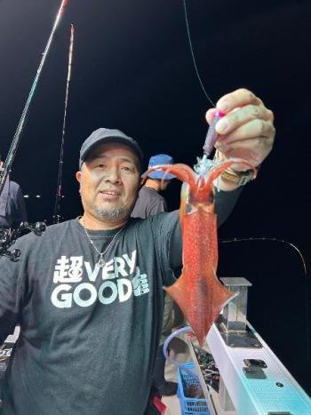 マイカ(ケンサキイカ)