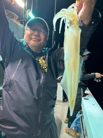 マイカ(ケンサキイカ)