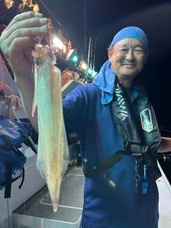 マイカ(ケンサキイカ)