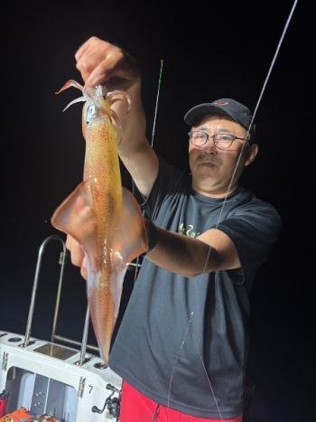 マイカ(ケンサキイカ)