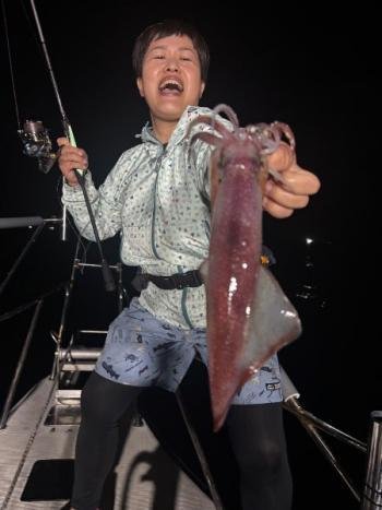 マイカ(ケンサキイカ)